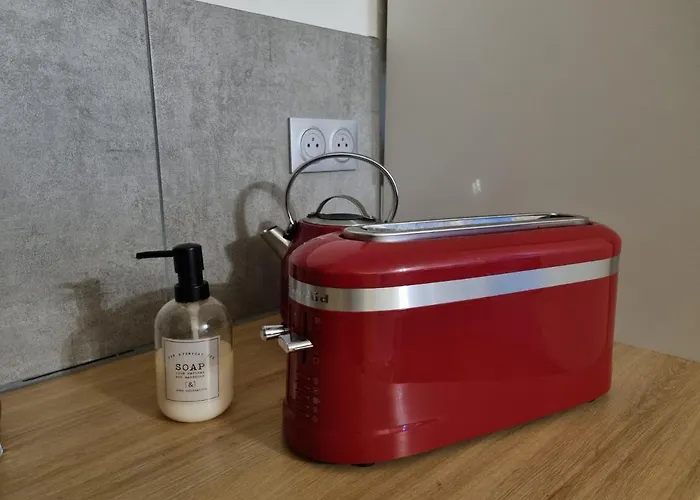 Coeur De 53m² 4/6 Personnes * Cauterets